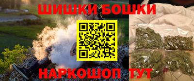 шишки Камышлов