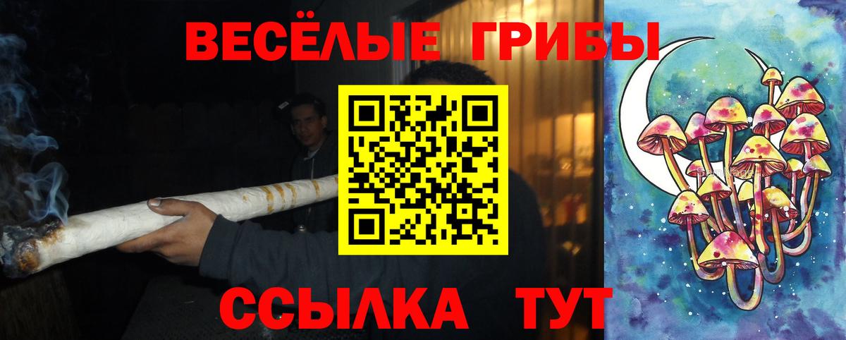 Псилоцибиновые грибы MAGIC MUSHROOMS  Вход с VPN  Кулебаки 