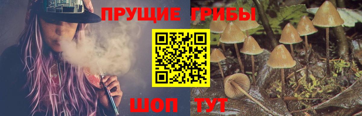 Галлюциногенные грибы мицелий Кулебаки